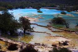 Multicolored Pool